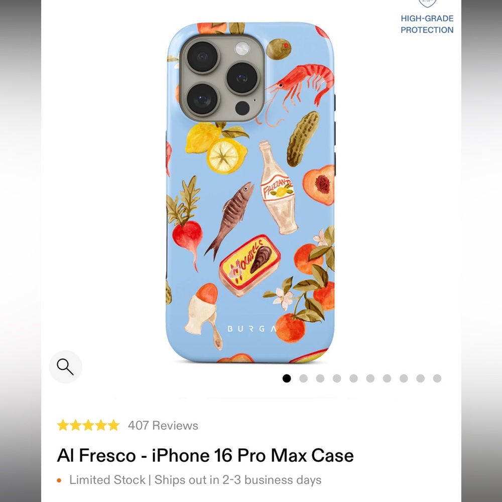 Burga MagSafe iPhone 16 Pro Max Case - Blue Al Fresco